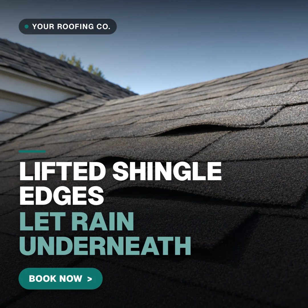 Roofer · Charlotte sample ad: Lifted shingle edges let rain underneath